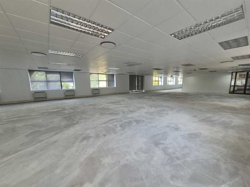 1575.33sqm Offices to let in Illovo, Sandton - Photo 5