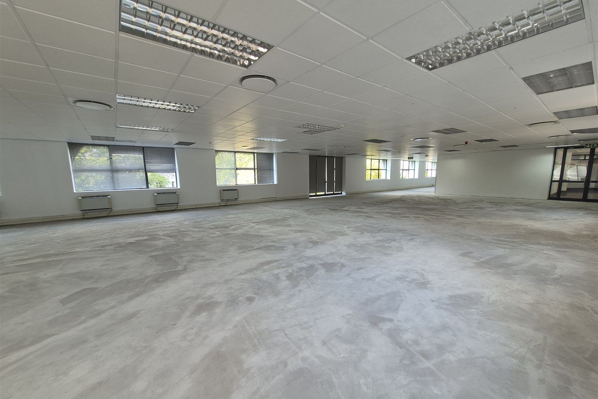 1575.33sqm Offices to let in Illovo, Sandton - Photo 5