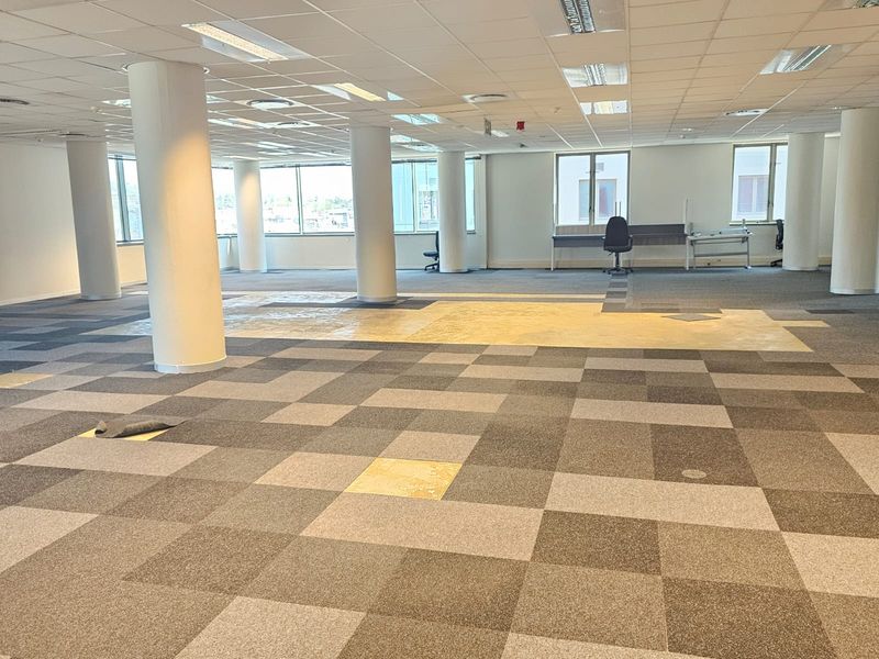 Spacious open-plan office area featuring large windows, structural columns, suspended ceilings, and worn carpet flooring in need of replacement.