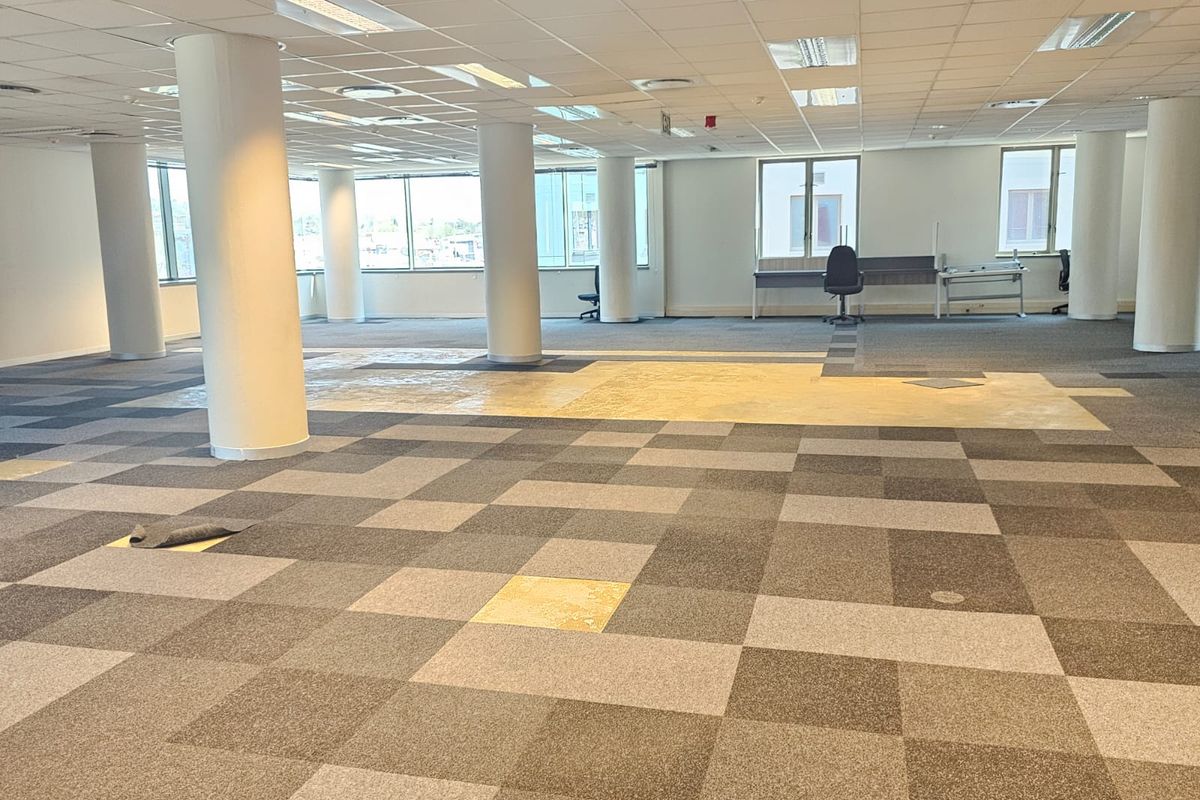 Spacious open-plan office area featuring large windows, structural columns, suspended ceilings, and worn carpet flooring in need of replacement.