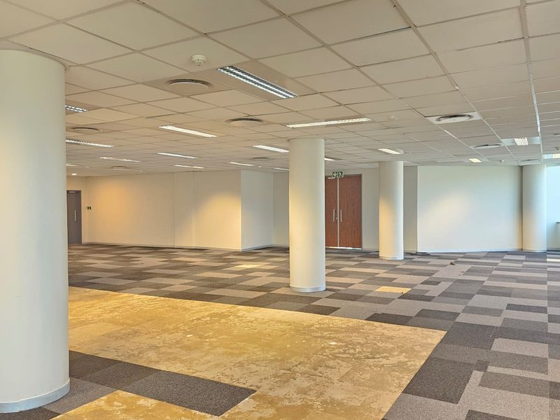 A spacious, open-plan office area featuring a suspended ceiling, recessed lighting, structural columns, and modular carpet flooring.