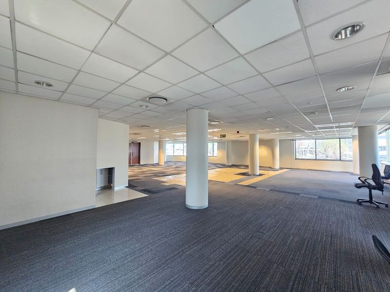 Spacious open-plan office area featuring a suspended ceiling, recessed lighting, structural columns, and large windows providing ample natural light.