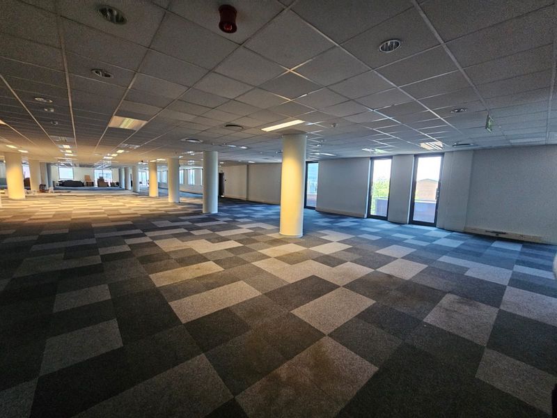 A spacious, open-plan office area featuring a suspended ceiling, recessed lighting, structural columns, and modern checkered carpet tiles.