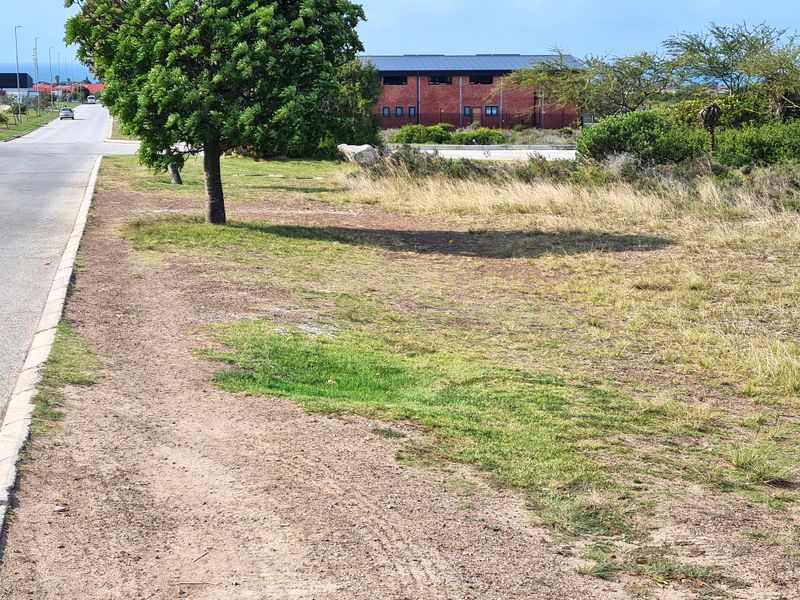 A view of the street frontage and grass verge adjacent to the vacant commercial land, showing access from the paved road.