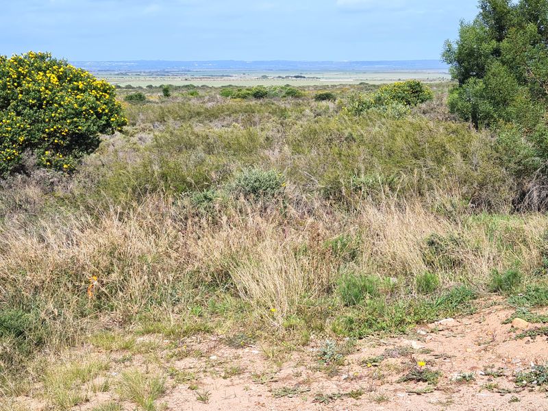 A wide-angle view of the undeveloped commercial land featuring native vegetation and distant landscape vistas.