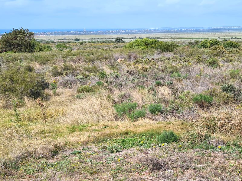 A wide-angle view of the vacant commercial land featuring natural coastal vegetation and distant landscape scenery.