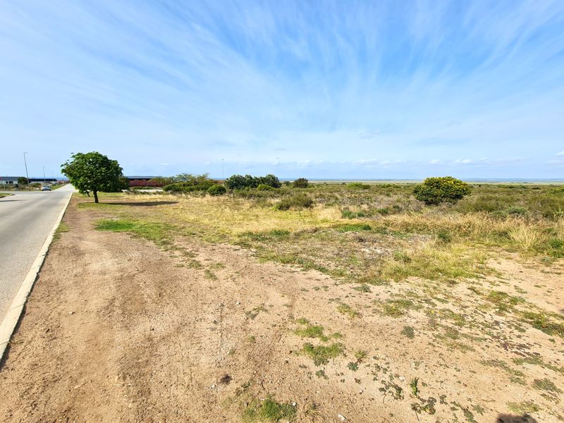 A view of the vacant commercial land parcel from the adjacent paved road, showcasing the natural landscape and street frontage.
