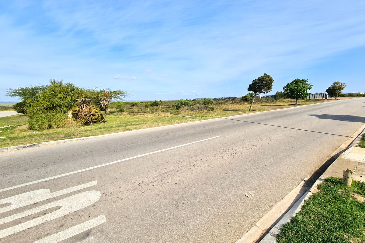 A view of the paved street and verge adjacent to the vacant commercial land, showing clear road access and surrounding landscape.