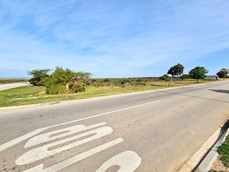 A view of the paved road and road markings adjacent to the vacant commercial land plot.
