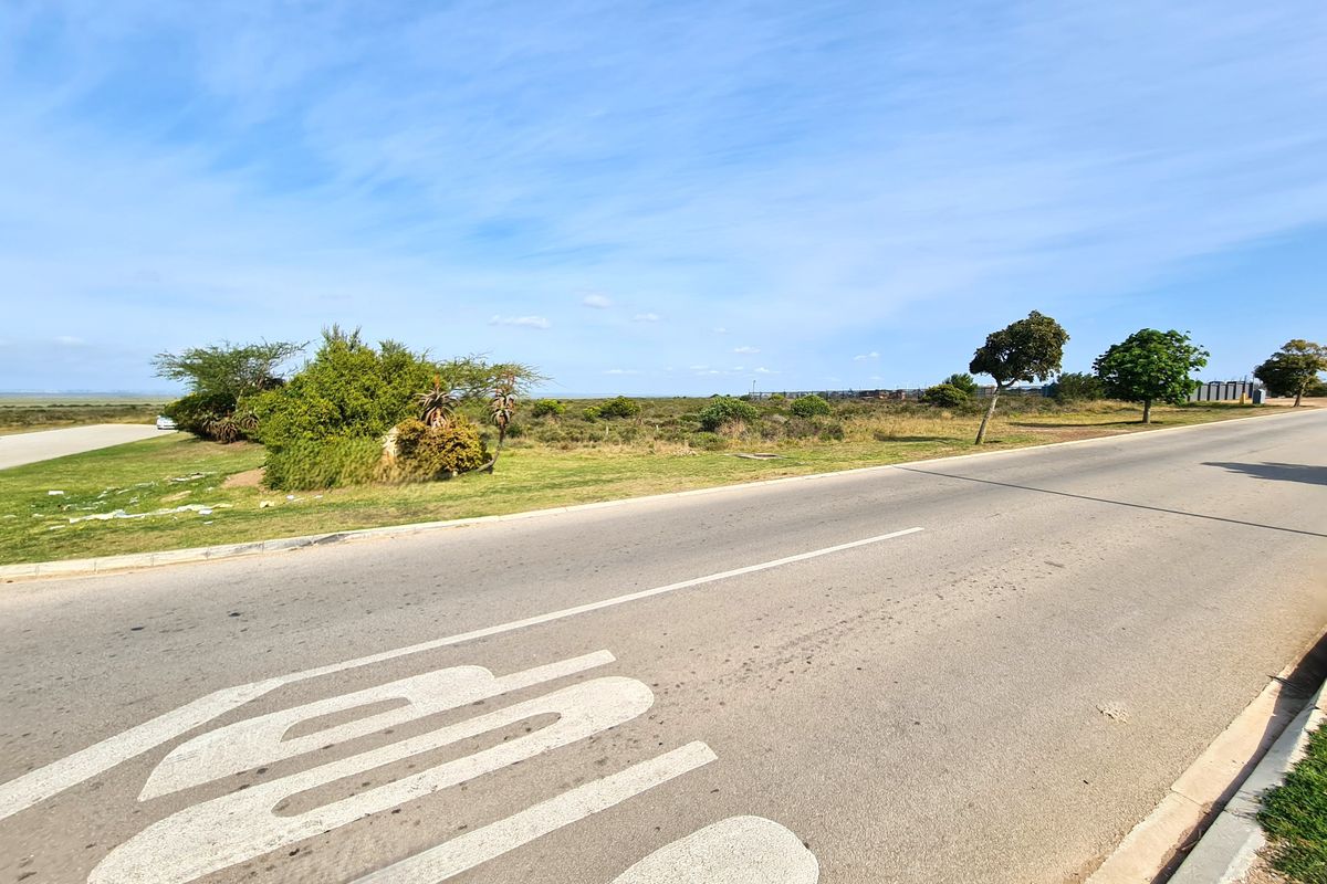 A view of the paved road and road markings adjacent to the vacant commercial land plot.