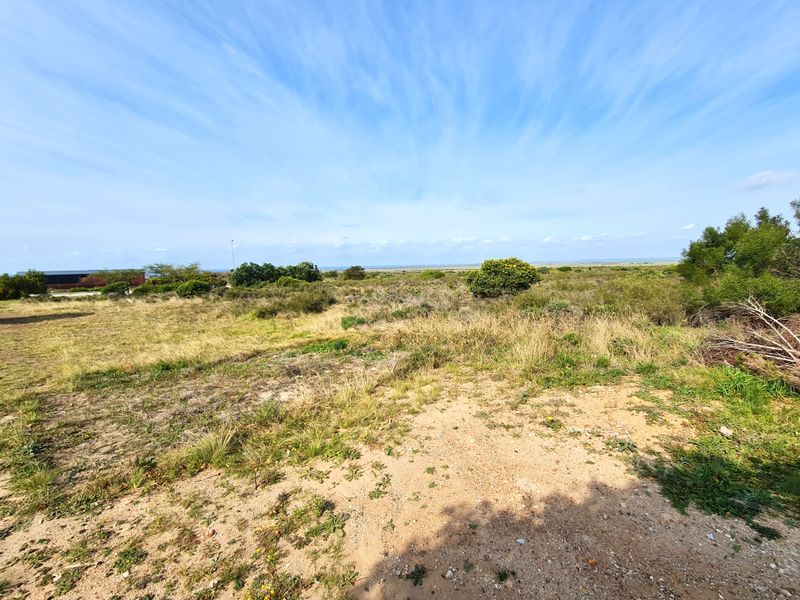 A wide-angle view of an undeveloped commercial land plot featuring natural vegetation and open terrain under a clear blue sky.