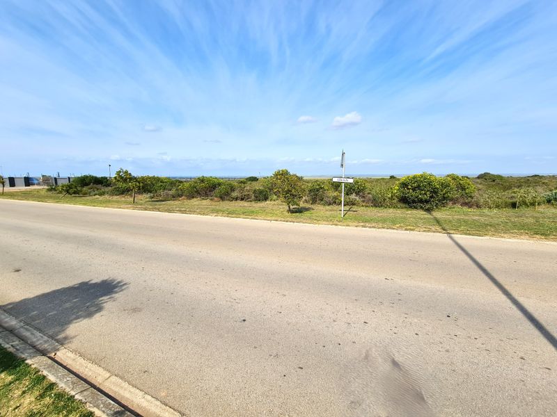 A view of the paved road and verge adjacent to the vacant commercial land, featuring clear street access and surrounding coastal vegetation.