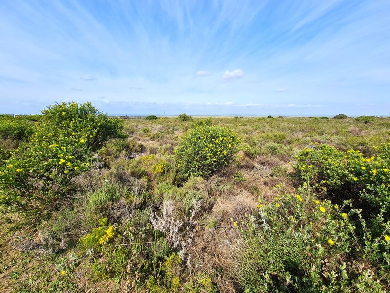 A wide-angle view of the vacant commercial land featuring natural coastal vegetation and an expansive open landscape under a clear blue sky.