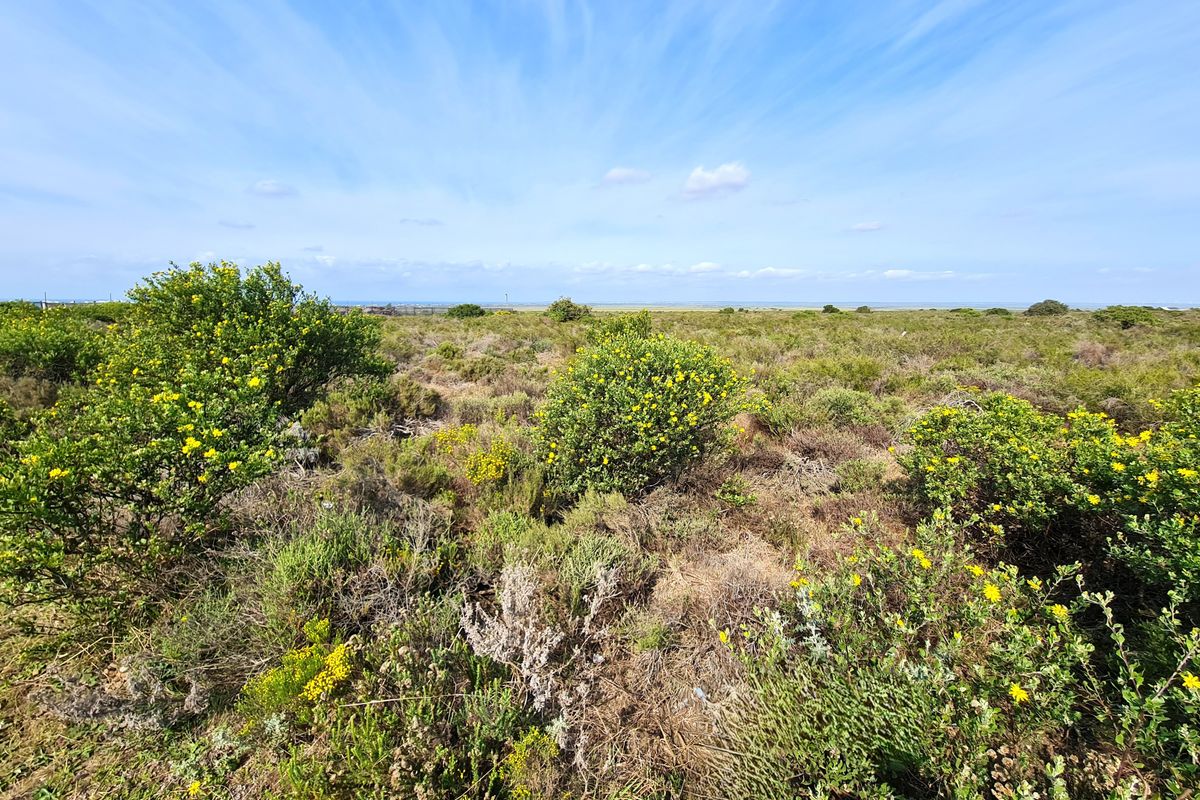 A wide-angle view of the vacant commercial land featuring natural coastal vegetation and an expansive open landscape under a clear blue sky.