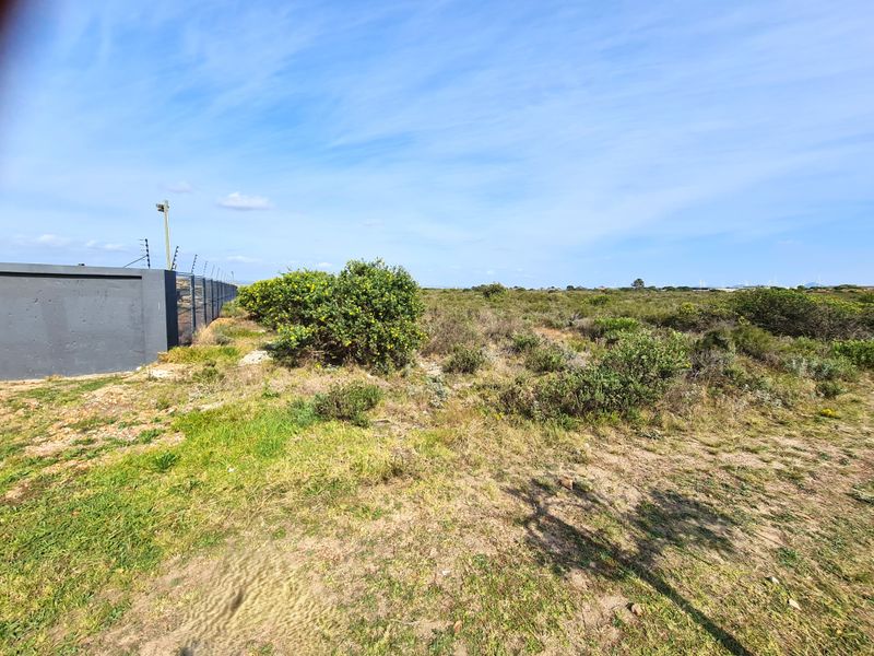A vacant commercial land plot featuring a perimeter wall with integrated electric fencing and natural vegetation.