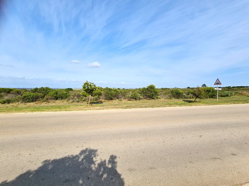 A view of the vacant commercial land from the adjacent paved road, featuring natural vegetation and clear street access.
