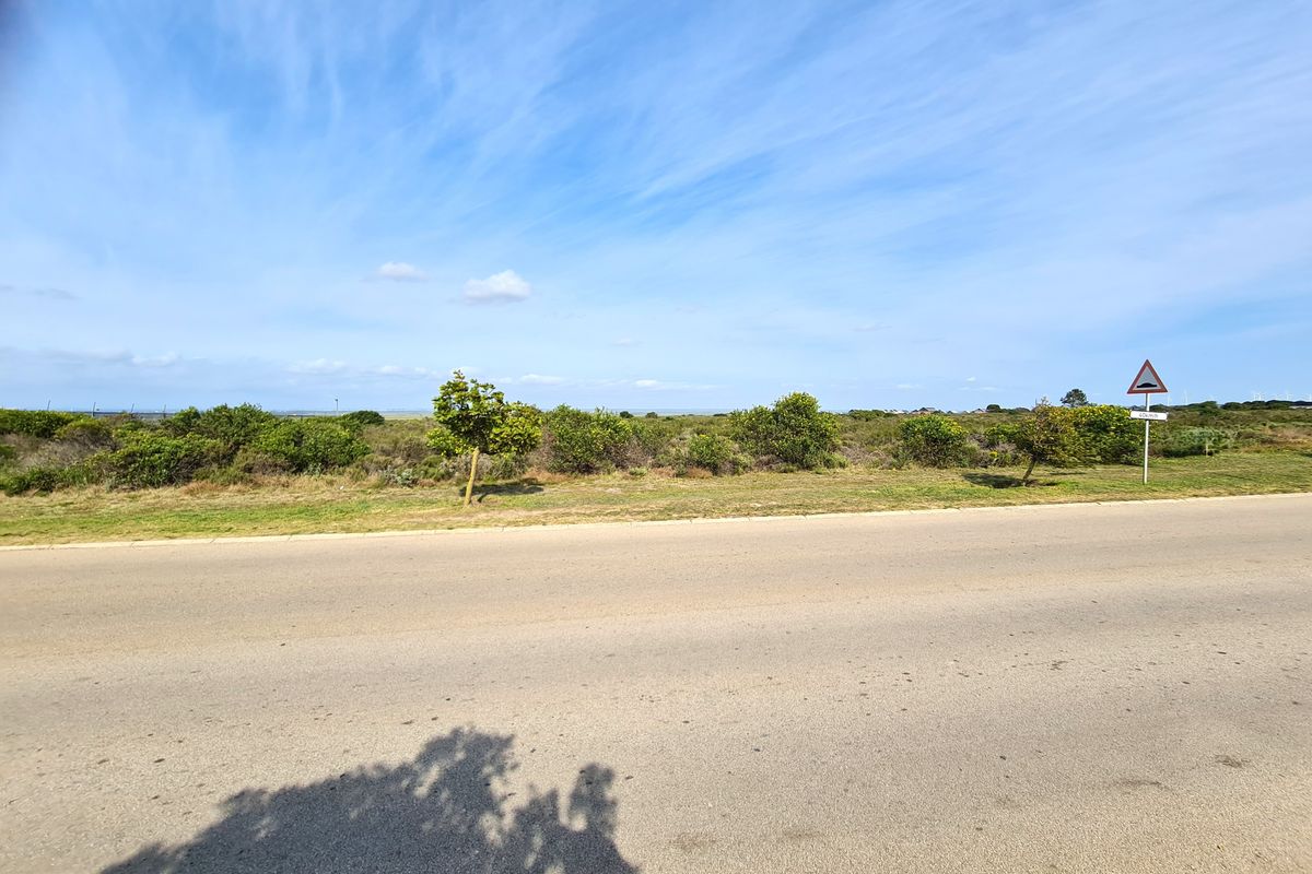 A view of the vacant commercial land from the adjacent paved road, featuring natural vegetation and clear street access.
