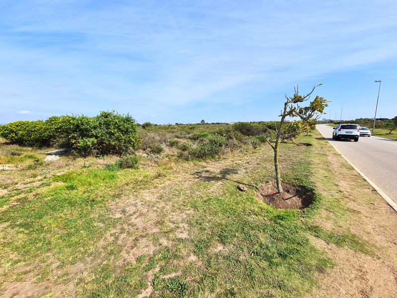 A view of the vacant commercial land parcel adjacent to a paved public road with street lighting and natural vegetation.