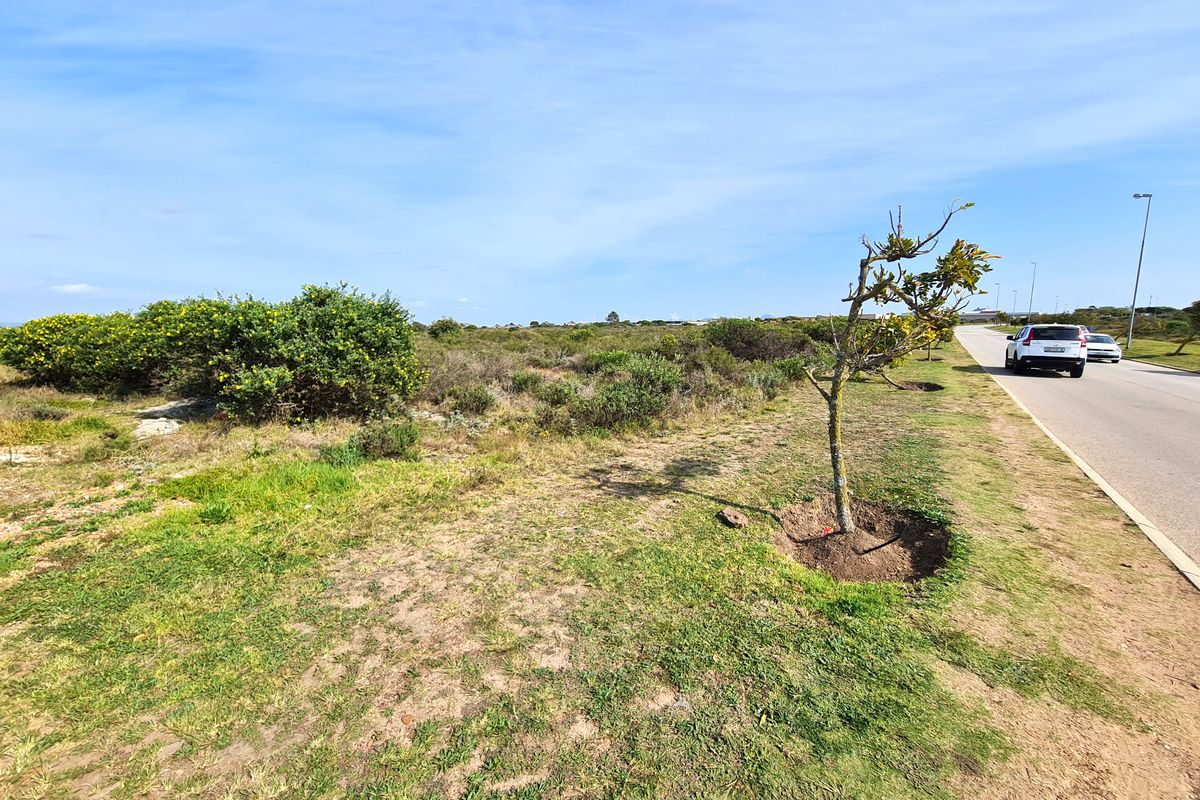 A view of the vacant commercial land parcel adjacent to a paved public road with street lighting and natural vegetation.