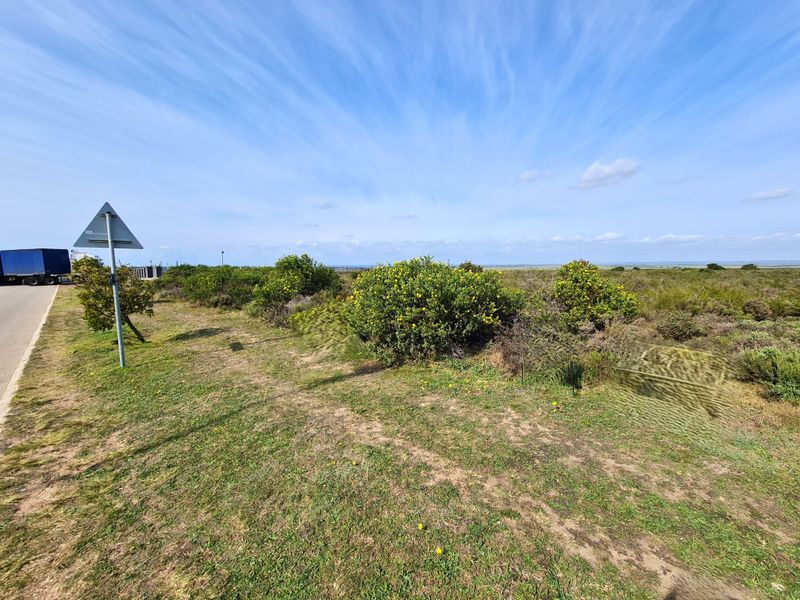 A view of the vacant commercial land from the adjacent road, featuring natural vegetation and open terrain.