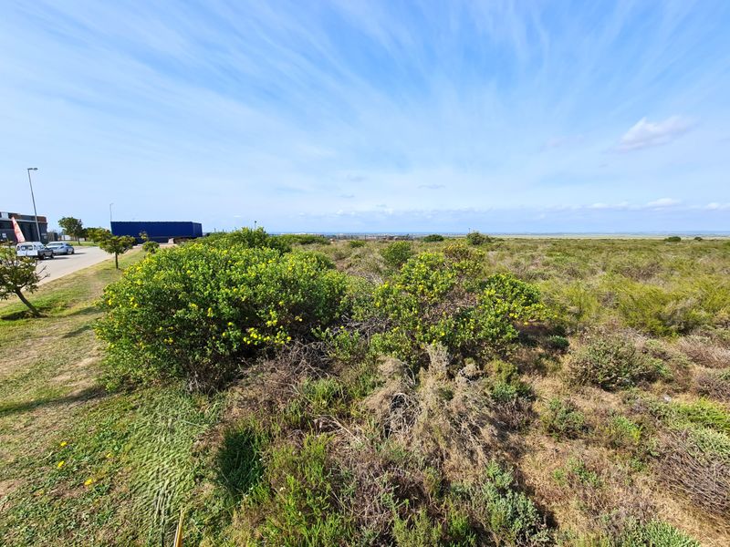 A view of a vacant commercial land plot featuring natural vegetation, adjacent to a paved road and street lighting infrastructure.