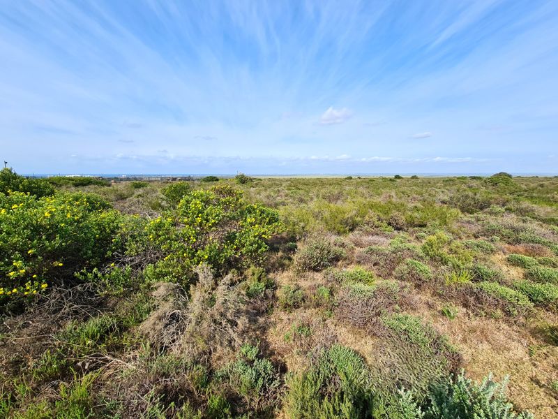 A wide-angle view of the vacant commercial land featuring natural coastal vegetation and an expansive horizon.