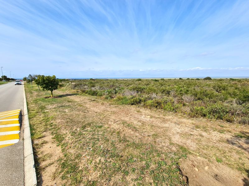 A view of the vacant commercial land parcel adjacent to a paved public road with natural coastal vegetation.