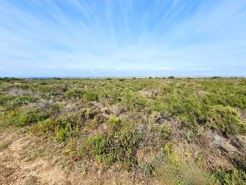 A wide-angle view of the vacant commercial land featuring natural coastal vegetation and a distant horizon line.