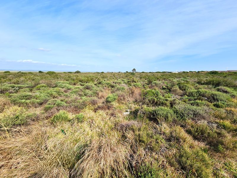 An expansive view of undeveloped commercial vacant land featuring natural coastal vegetation and open terrain.