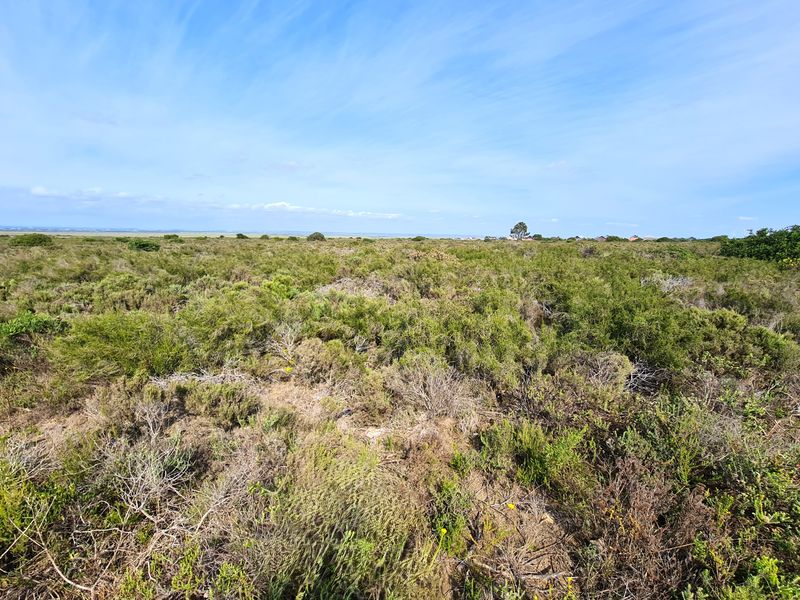 A wide-angle view of the vacant commercial land featuring natural coastal vegetation and an expansive open landscape.