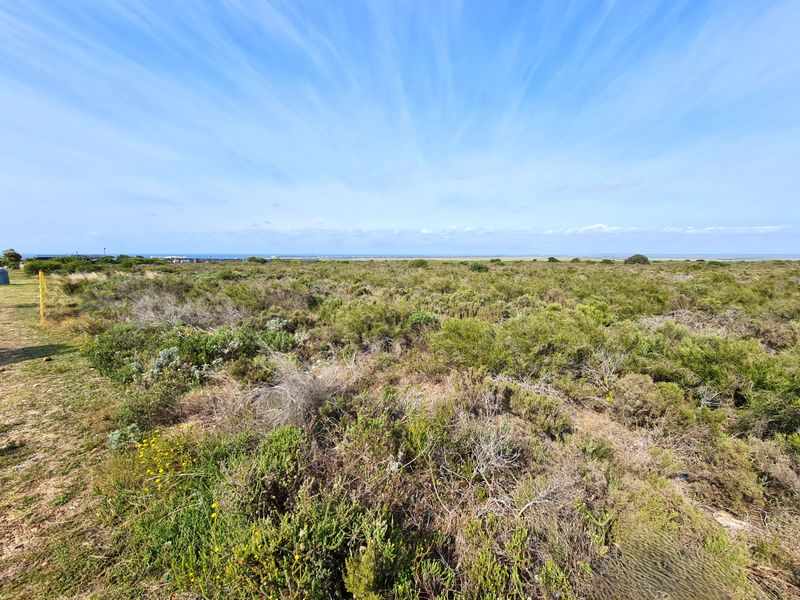 A wide-angle view of a vacant commercial land plot featuring natural coastal vegetation and an expansive horizon.