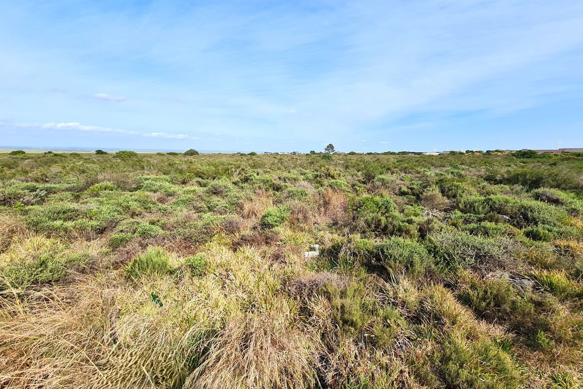 An expansive view of undeveloped commercial vacant land featuring natural coastal vegetation and open terrain.