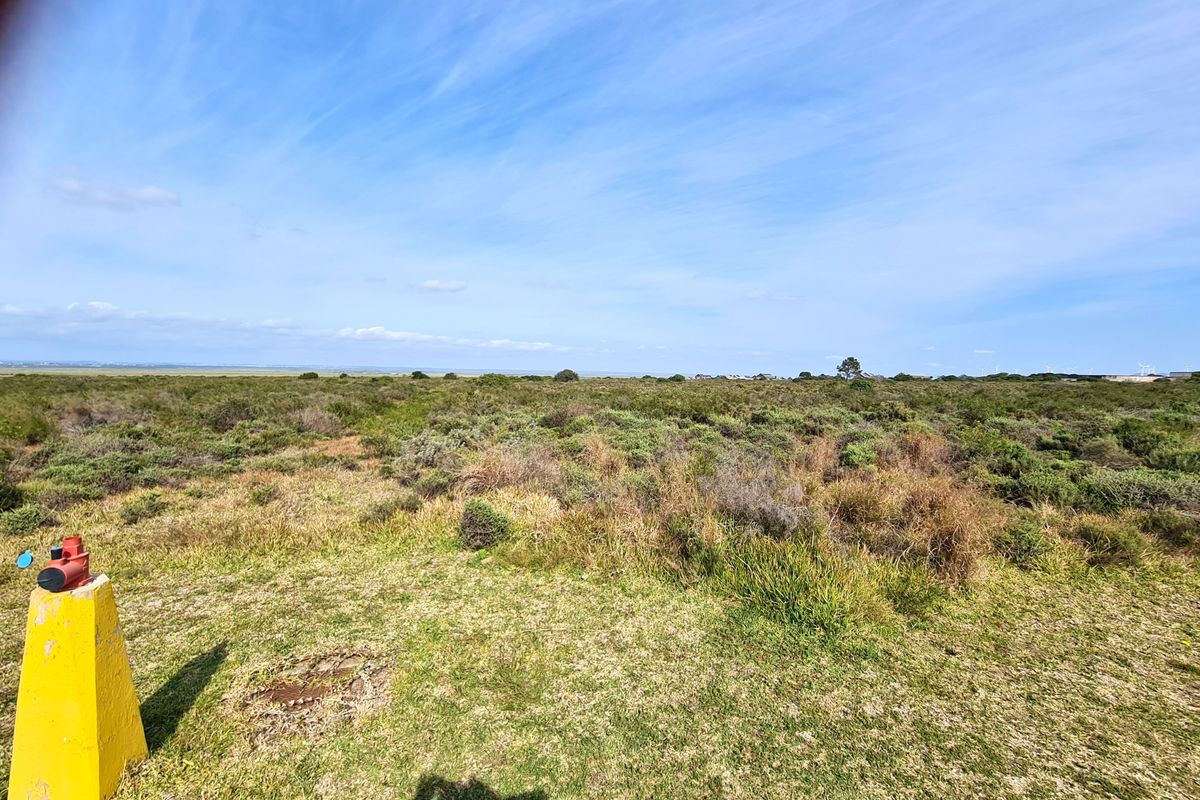 An expansive view of undeveloped commercial land featuring native vegetation and a visible fire hydrant in the foreground.