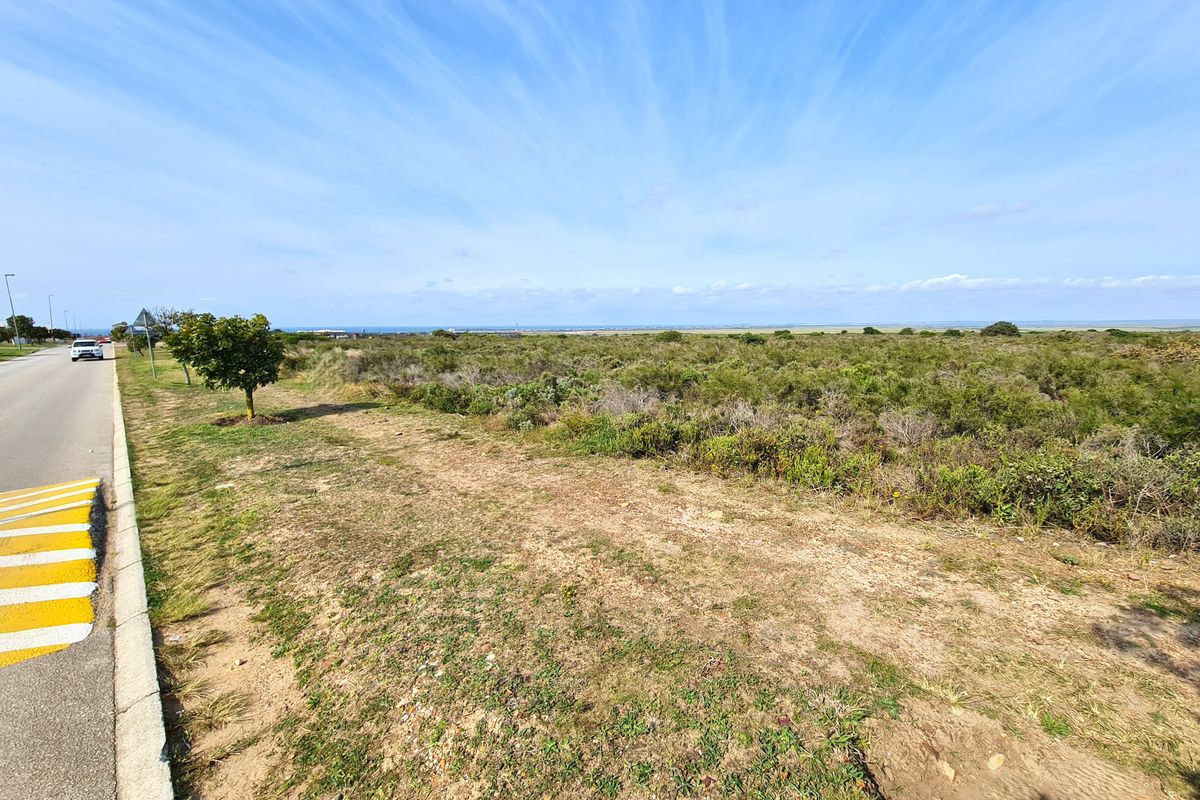 A view of the vacant commercial land parcel adjacent to a paved public road with natural coastal vegetation.