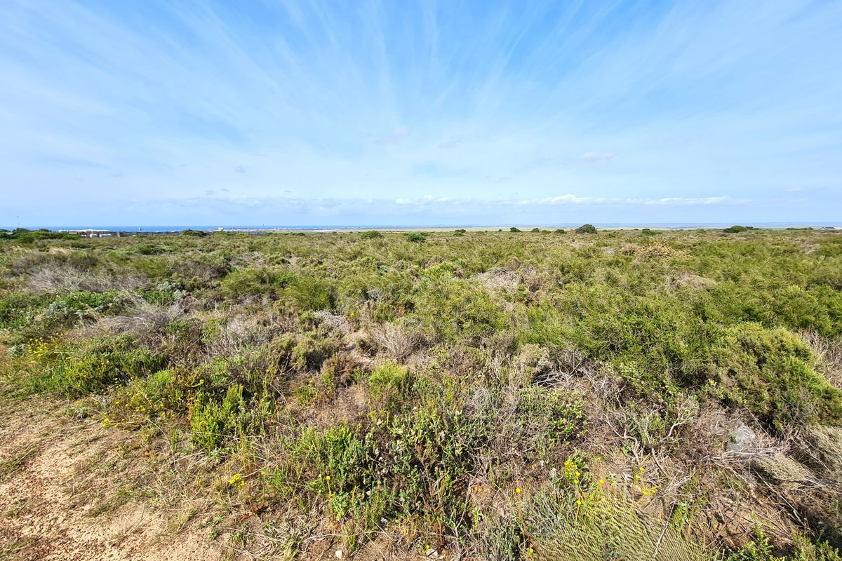 A wide-angle view of the vacant commercial land featuring natural coastal vegetation and a distant horizon line.