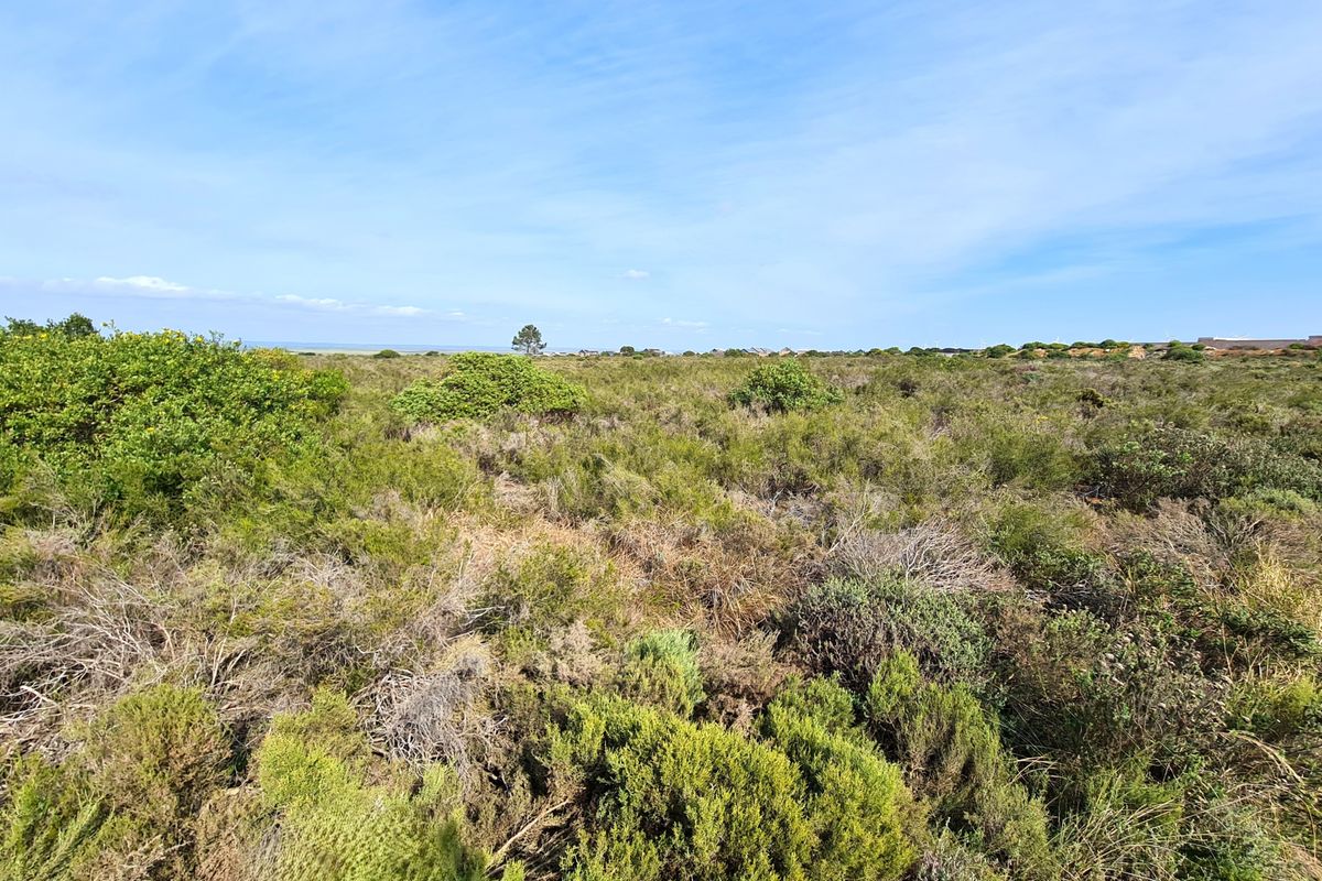 Calling Business Entrepreneurs & Investors to an Opportunity in Fountains Estate Business Park - Photo 5