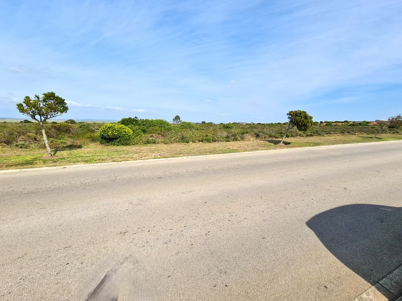 A view of the asphalt road and kerbing adjacent to the vacant commercial land plot.