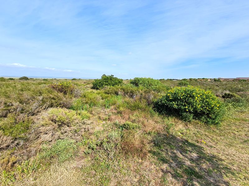 An expansive view of undeveloped commercial land featuring natural coastal vegetation and open terrain under a clear blue sky.