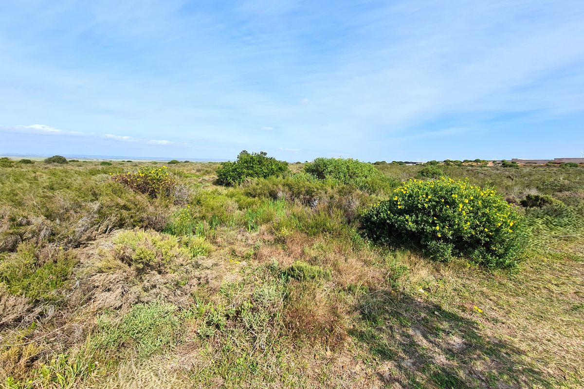 An expansive view of undeveloped commercial land featuring natural coastal vegetation and open terrain under a clear blue sky.