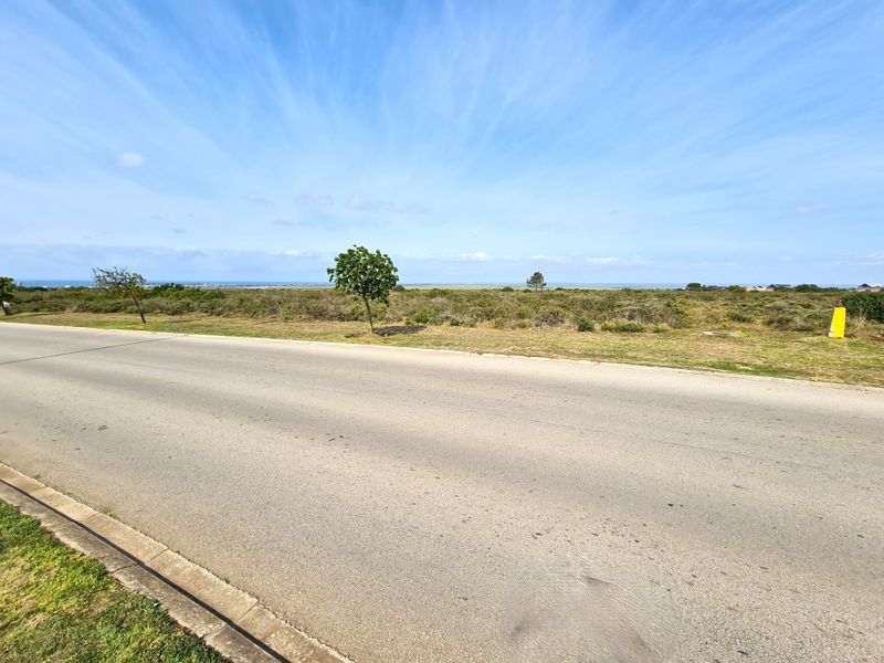 A street-level view of a vacant commercial land plot featuring an asphalt road and concrete curbing with natural landscape in the background.