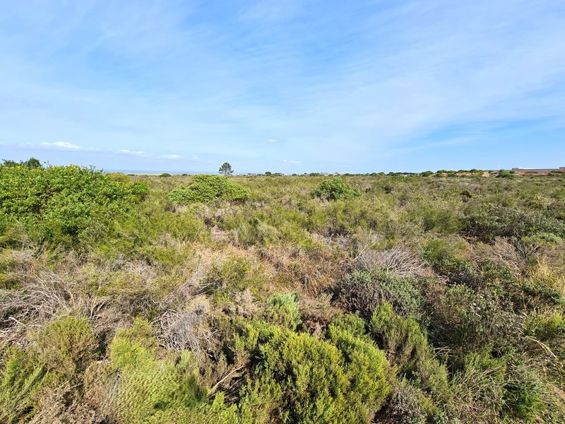 A wide-angle view of the vacant commercial land featuring natural coastal shrubbery and native vegetation under a clear blue sky.