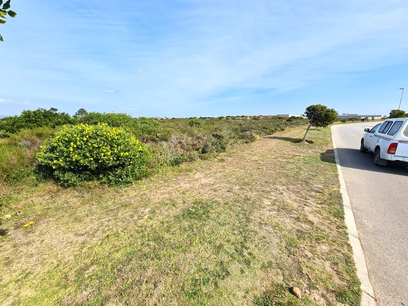 A view of the vacant commercial land parcel adjacent to a paved road with natural vegetation and established shrubs.