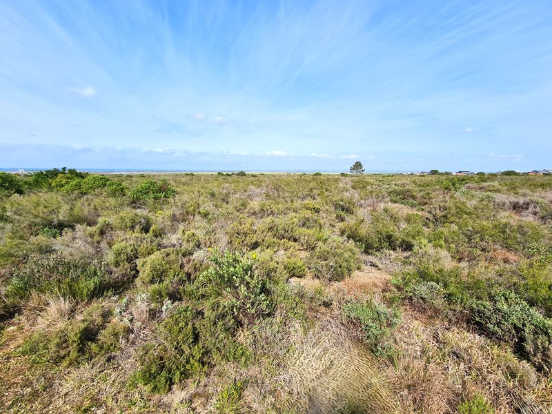 A wide-angle view of the vacant commercial land featuring natural coastal vegetation and open terrain under a clear blue sky.