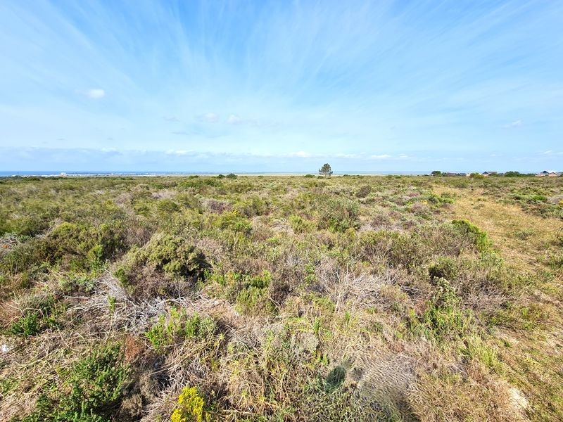 A wide-angle view of the expansive, undeveloped commercial land featuring natural coastal vegetation and a clear horizon.