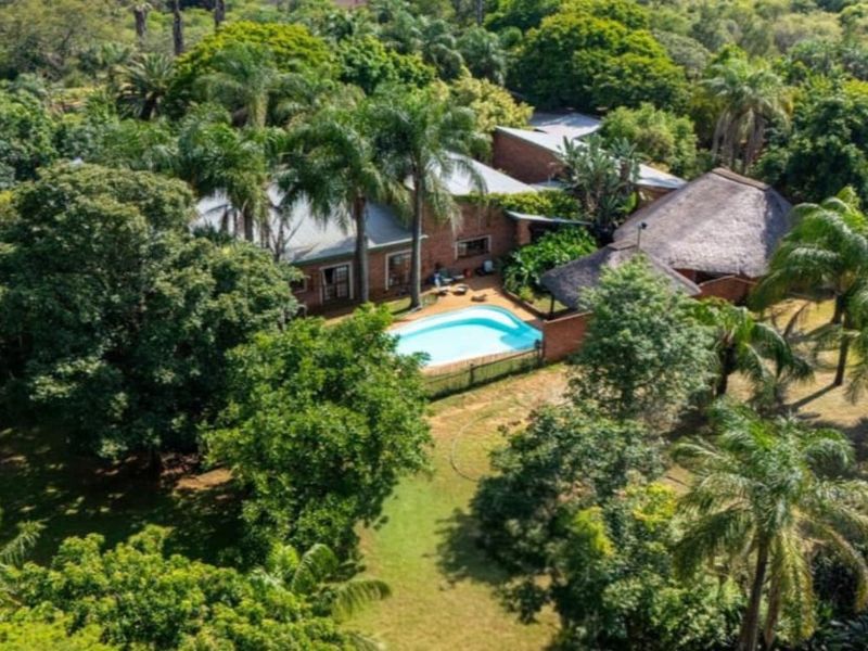 Aerial view of a farm property featuring a swimming pool, lush garden surroundings, and a combination of thatched and metal roof structures.