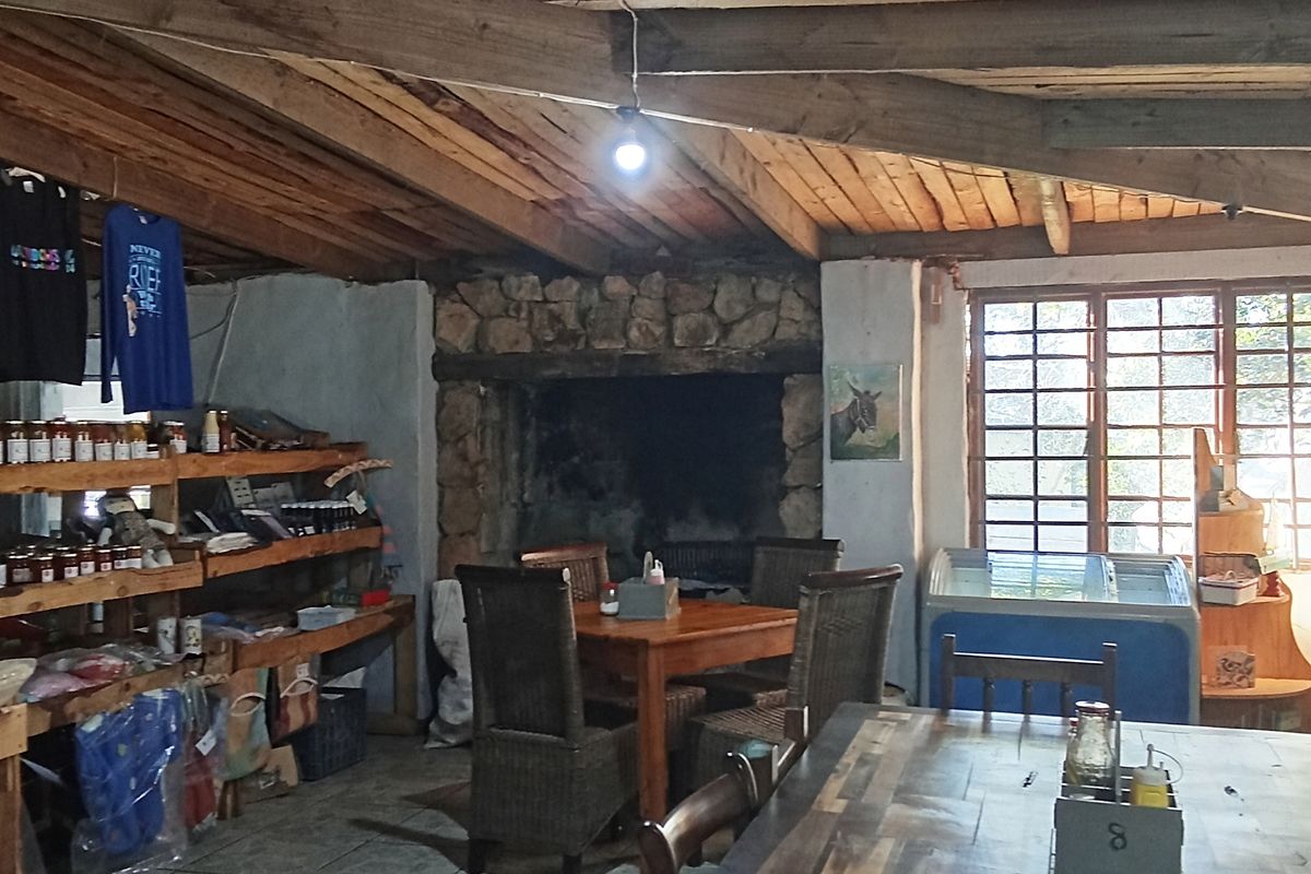 A unique opportunity to own the heart of Baardskeerdersbos - Photo 5