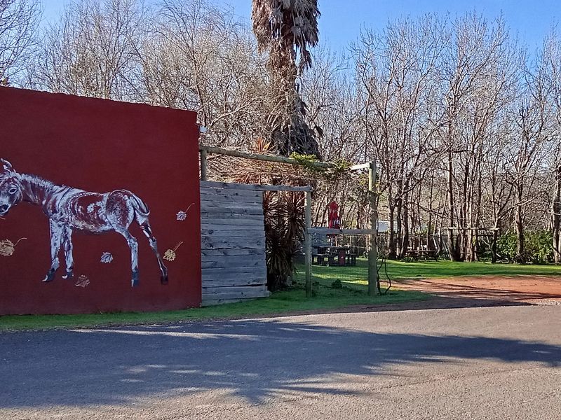 Outdoor garden area featuring a decorative painted masonry wall, timber screening, and a pergola structure set within a landscaped outdoor space.