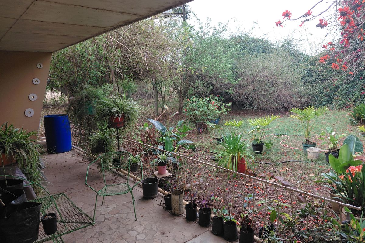 Beautiful rural views and fresh country air in Kruisrivier. - Photo 3