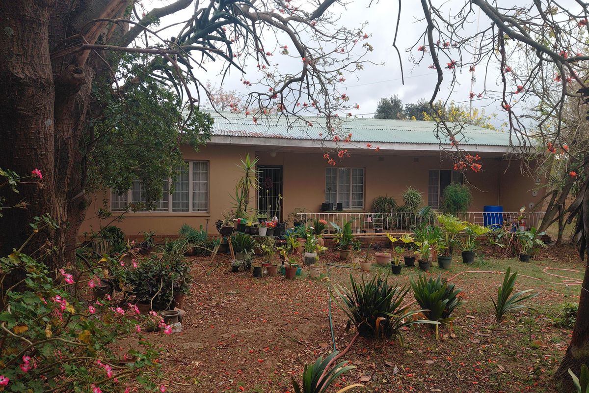 Rear view of a farm-style dwelling featuring a covered patio, metal roof, and established garden surroundings.