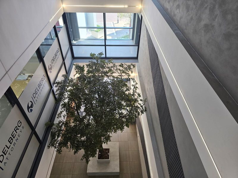 Modern office atrium featuring a double-volume space with large glass windows, sleek slatted wall detailing, and recessed linear lighting.